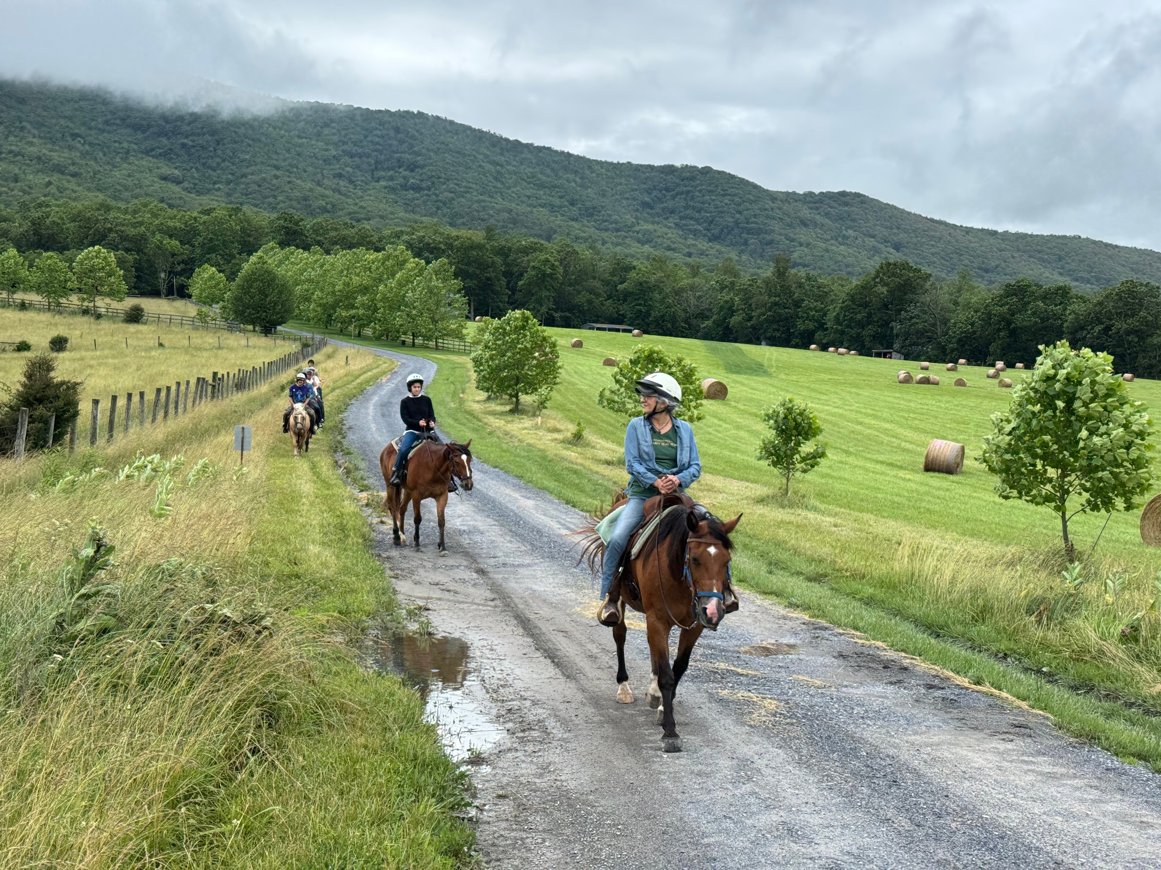 Secret Passage Ranch - Photo 1